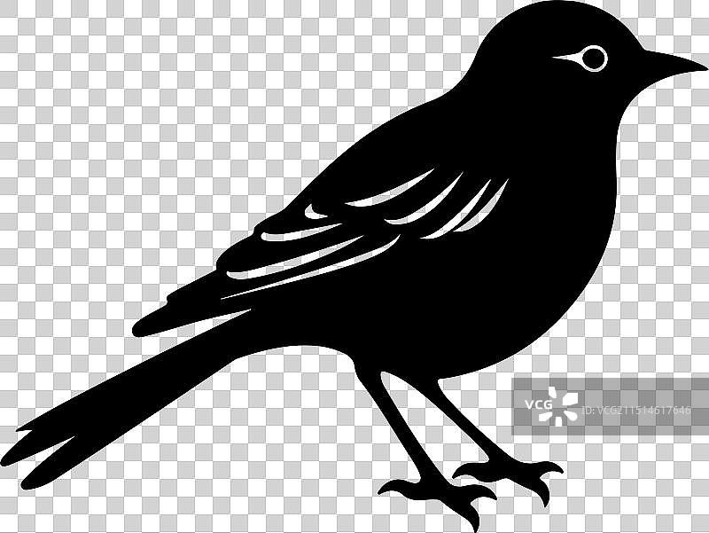 白色背景上的云雀剪影图片素材