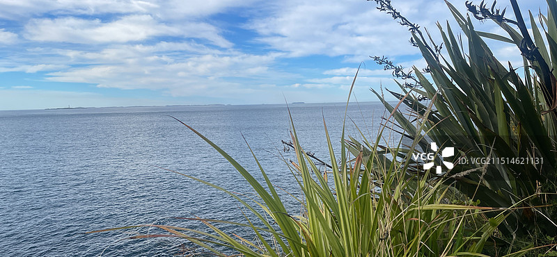 新西兰布拉夫海岸线图片素材