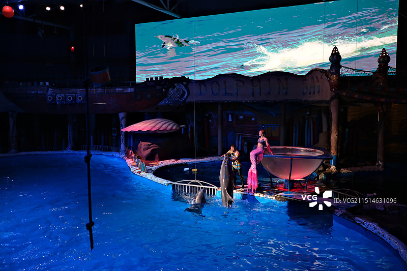 大连圣亚海洋世界图片素材