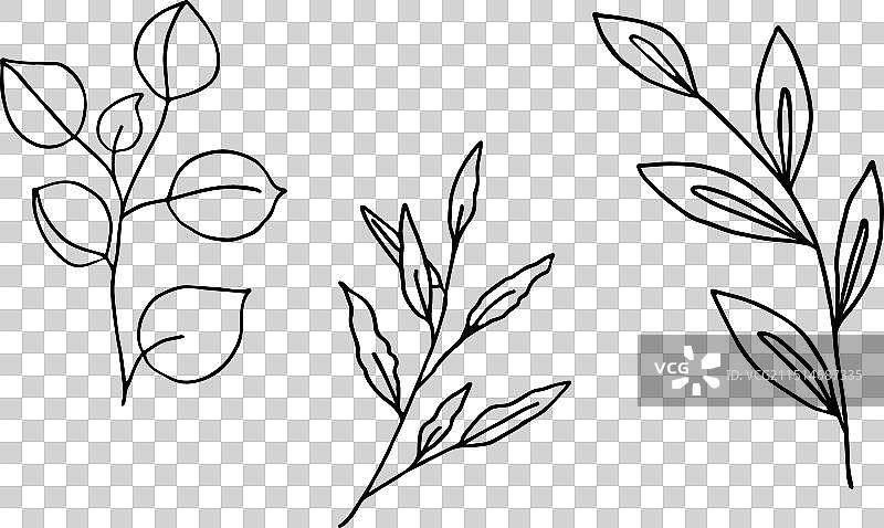 涂鸦风格的树枝和叶子图片素材