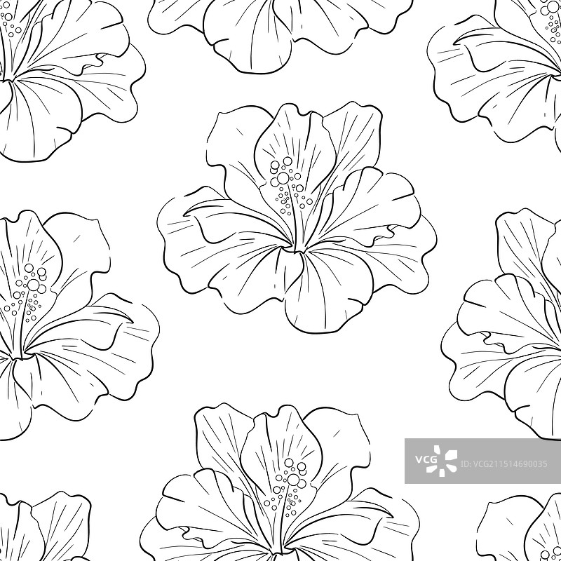 鲜艳的芙蓉花无缝图案图片素材