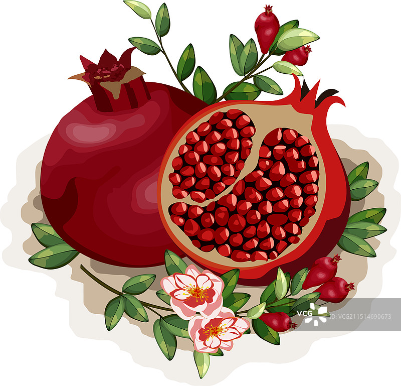 成熟的石榴图片素材