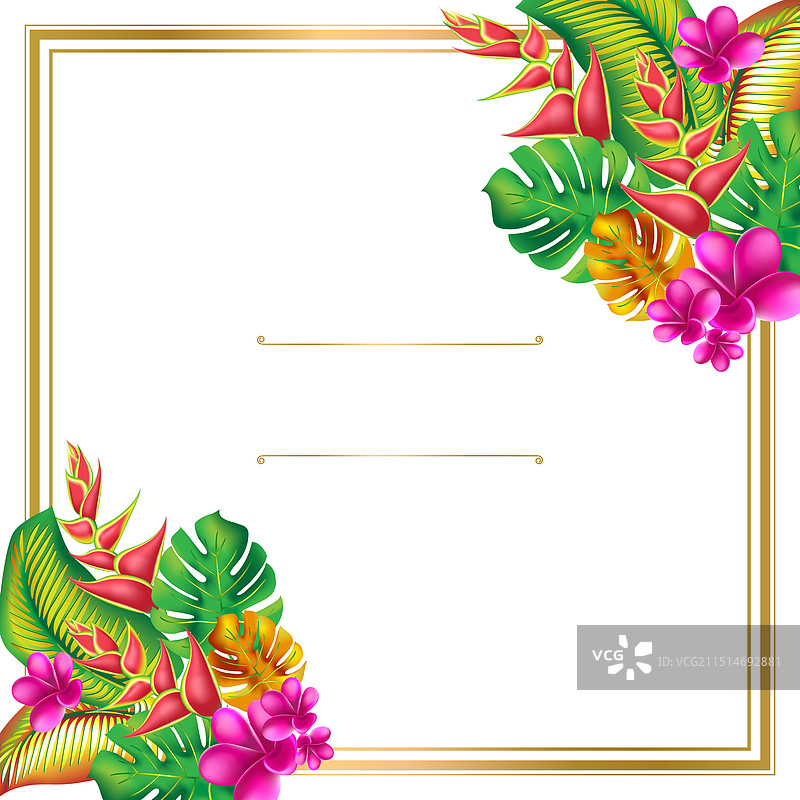 带有芙蓉花和粉色元素的棕榈龟背竹叶图片素材