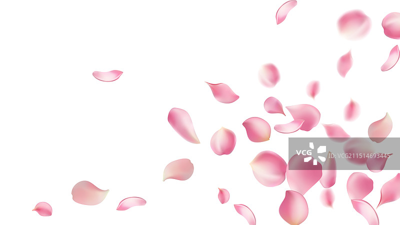 玫瑰花瓣或樱花飞舞的浪漫花瓣图片素材