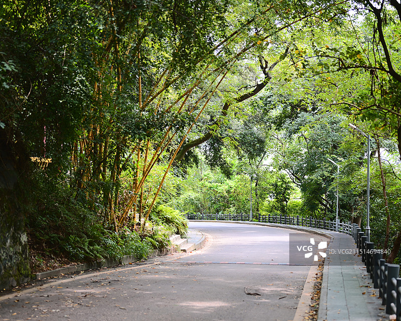 北山公园山路图片素材