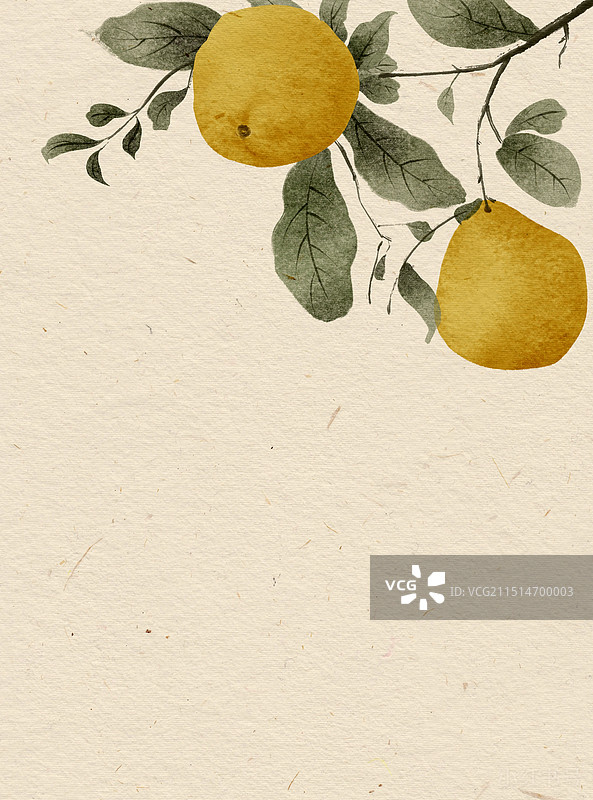 左柚逢源图片素材