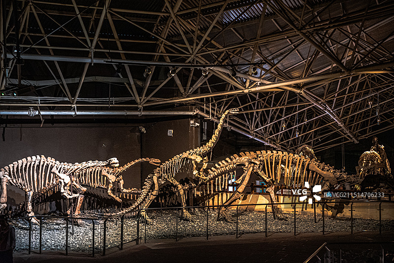 楚雄禄丰世界恐龙谷景区图片素材