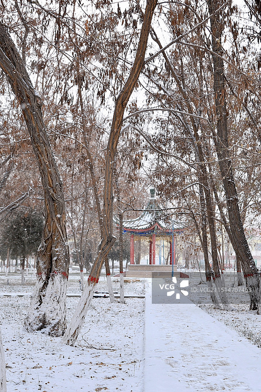 雪后的公园图片素材