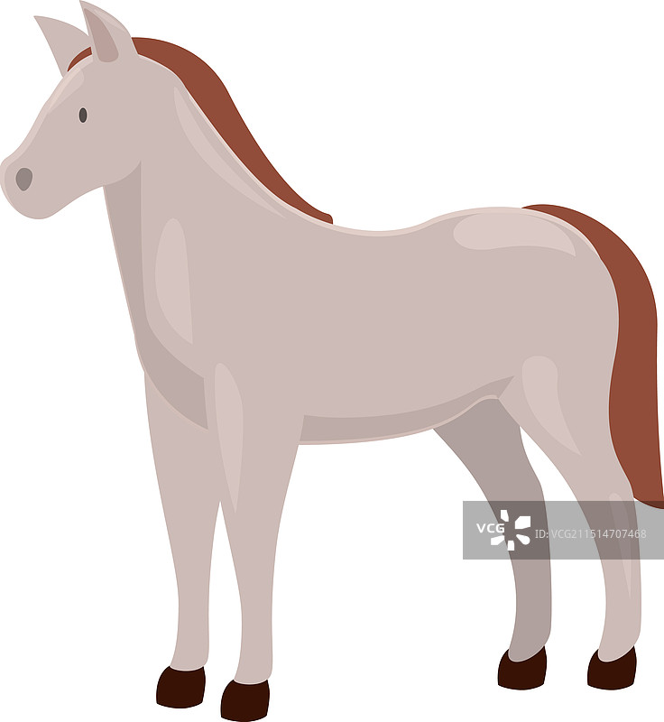 站立的棕色尾巴和鬃毛的灰色马图片素材