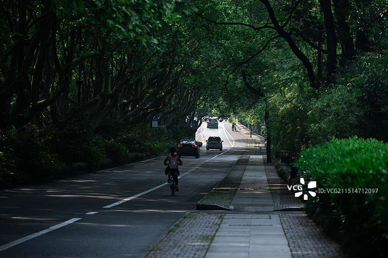 杨公堤图片素材