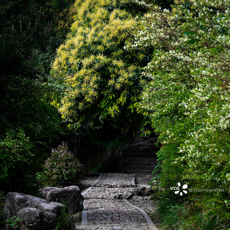老和山图片素材