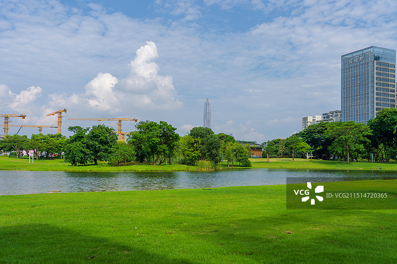 广东深圳，香蜜湖公园，蓝天白云城市天际线图片素材