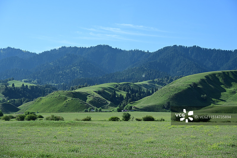 那拉提草原盘龙古道图片素材