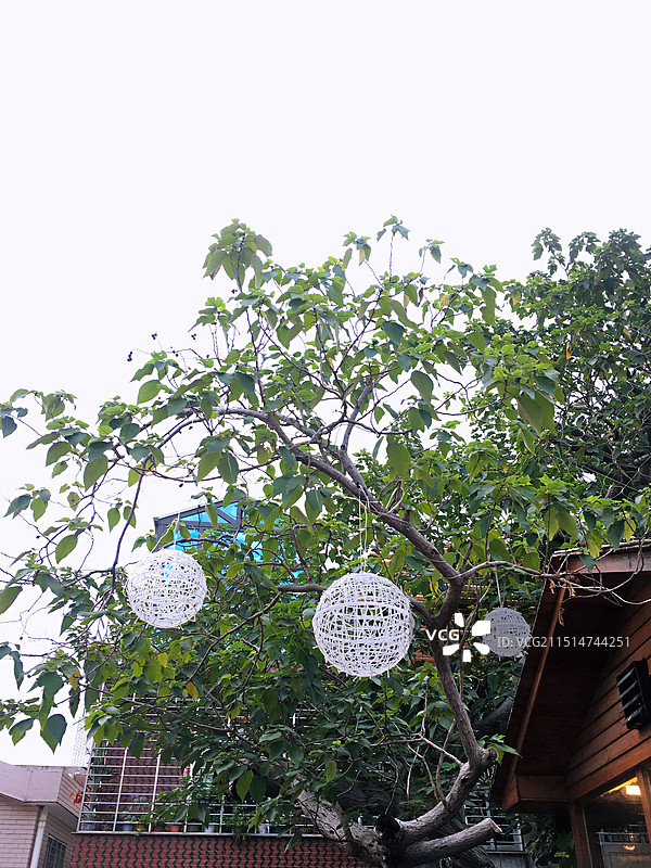 泉州觅鲤文创园图片素材