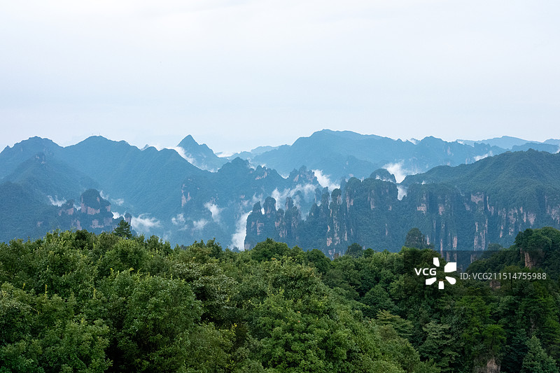 中国湖南省张家界国家森林公园，武陵源风景名胜区，石英砂岩大峰林，山峰云雾缭绕的风景图片素材