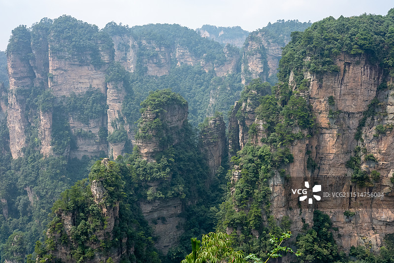 中国湖南省张家界国家森林公园，武陵源风景名胜区，石英砂岩大峰林，耸立如林的山脊山峰风景图片素材