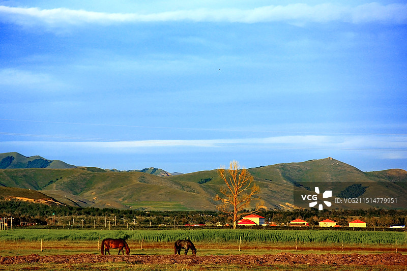 丰宁坝上的秋天图片素材