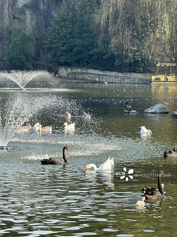 西安秦岭野生动物园图片素材