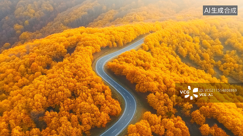 【AI数字艺术】秋季金色森林公路航拍视角自然风景背景图片素材