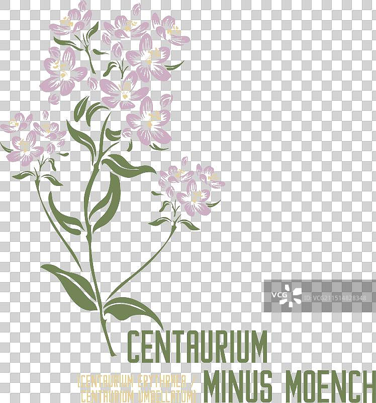 着色图片中的小半人马剪影图片素材