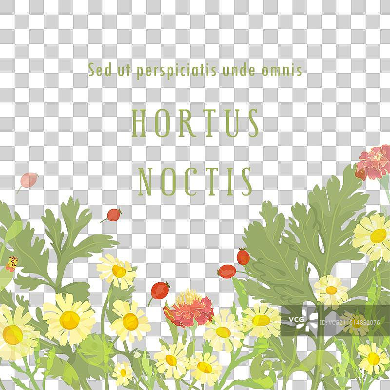 花卉或草药产品图片素材