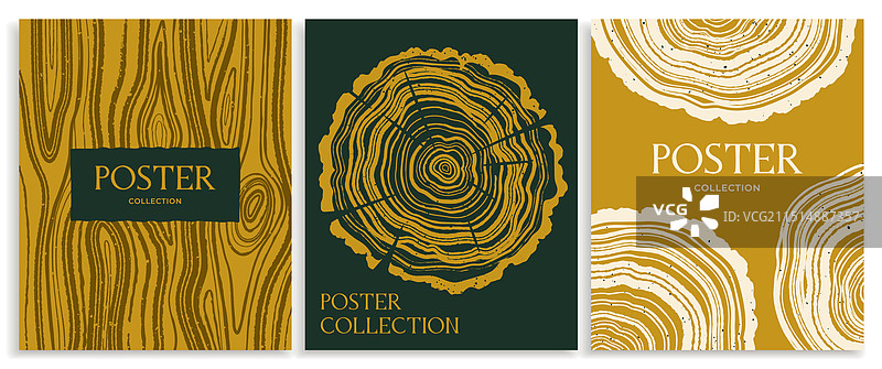 奢华木纹年轮海报合集图片素材