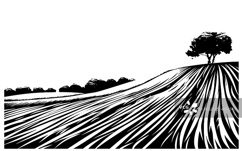 手绘葡萄园景观设计草图图片素材