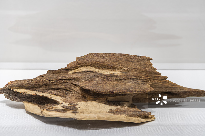 博物馆里的沉香莞香木图片素材