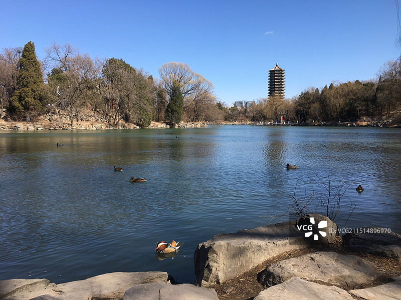北京大学未名湖博雅塔深冬早春风景图片素材