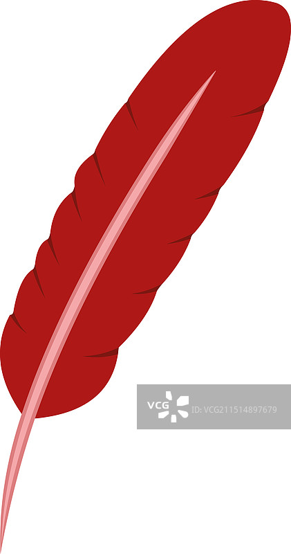 红色羽毛图片素材
