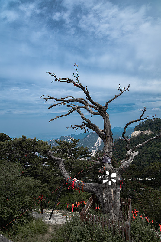 陕西旅游五岳天险西岳华山图片素材