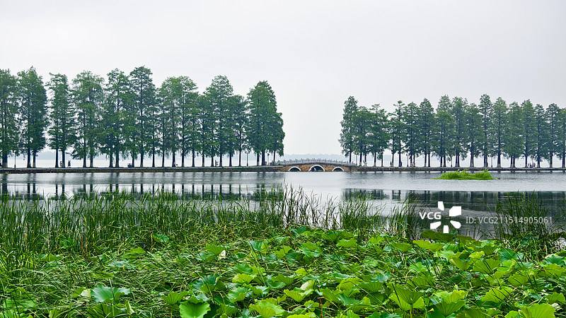 阴天下游览武汉东湖看湖边高楼图片素材