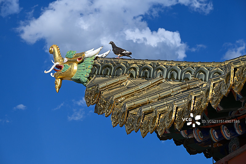 甘南合作寺图片素材