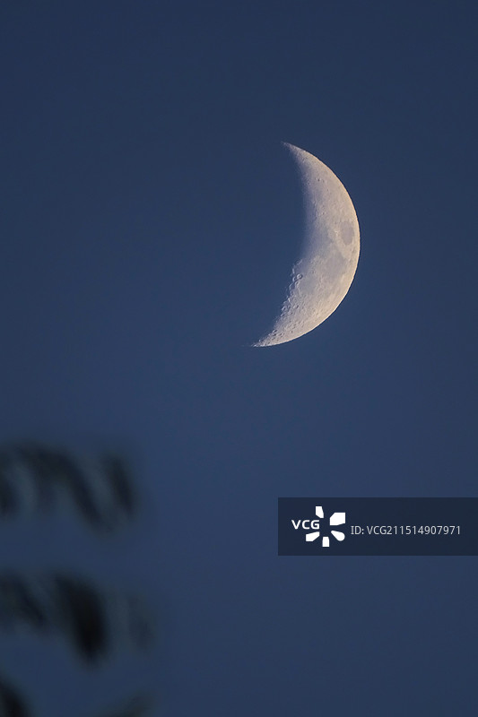 右悬月图片素材