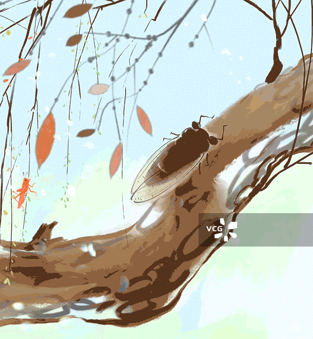 秋天，树，落叶，红叶，蝉，知了，鸣叫，昆虫，可爱动物水墨动画插图图片素材