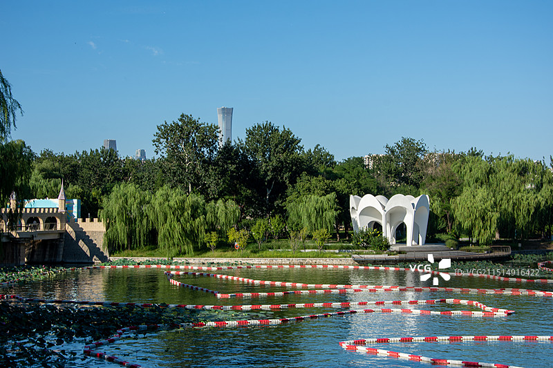 龙潭中湖公园百合亭（北京市东城区）图片素材