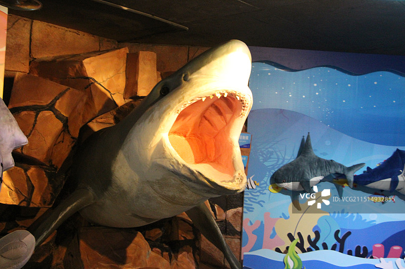 重庆汉海海洋公园图片素材