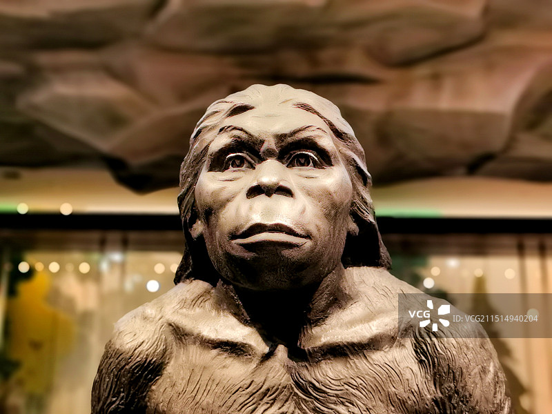 陕西蓝田猿人正视图图片素材