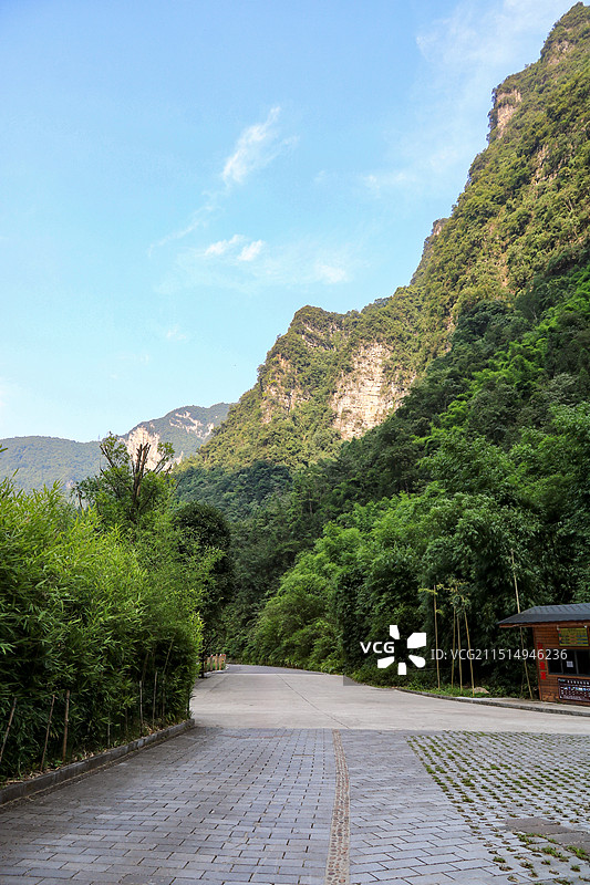 湖北宜昌三峡竹海风景区图片素材