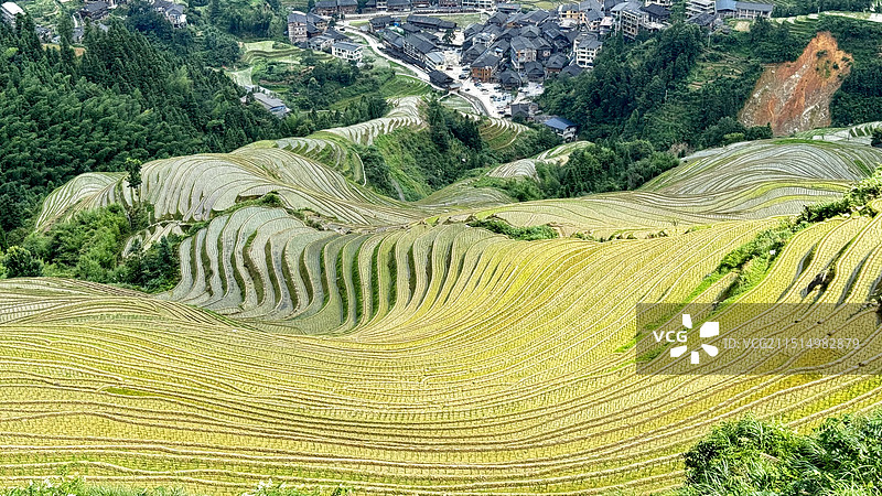 龙脊梯田图片素材