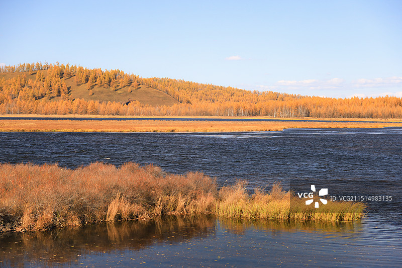 北国之秋图片素材