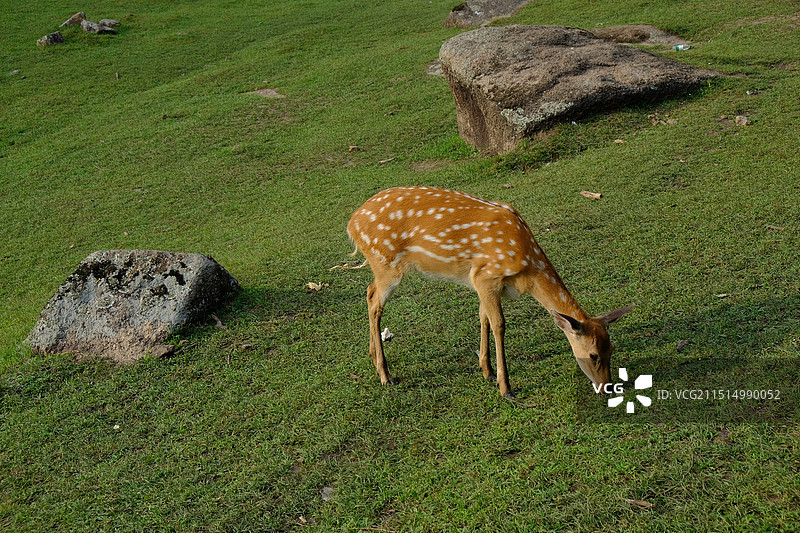 微信图片_20240822143230图片素材