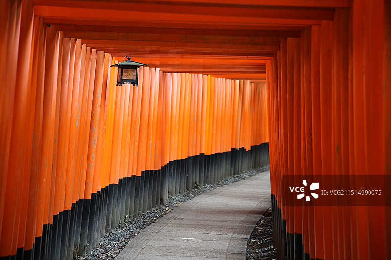 著名的稻荷伏见大社和千本鸟居图片素材