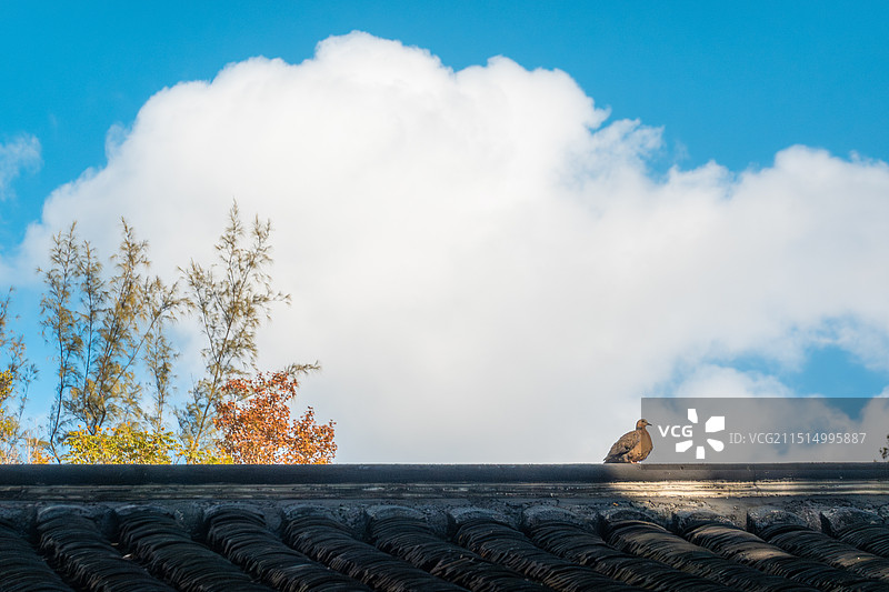 三栋屋博物馆图片素材