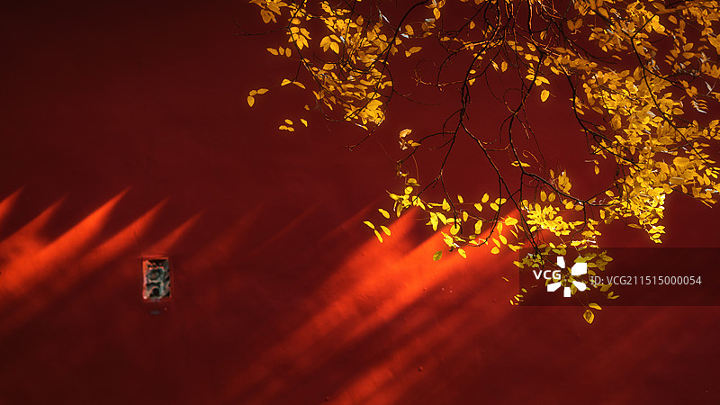 故宫的秋天图片素材