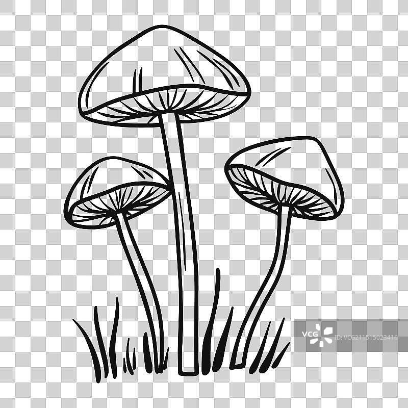 草地迷幻蘑菇墨水素描图片素材