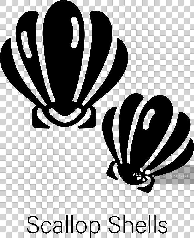 扇贝壳图片素材