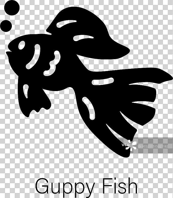 孔雀鱼图片素材