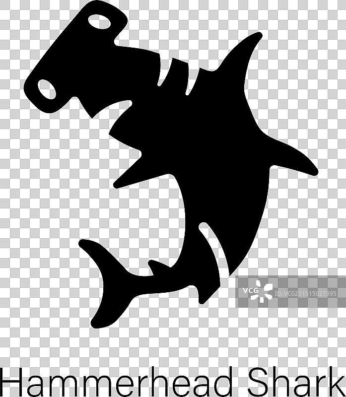 锤头鲨图片素材