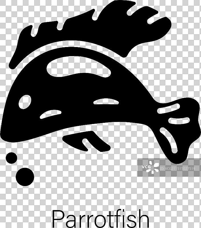 鹦嘴鱼图片素材